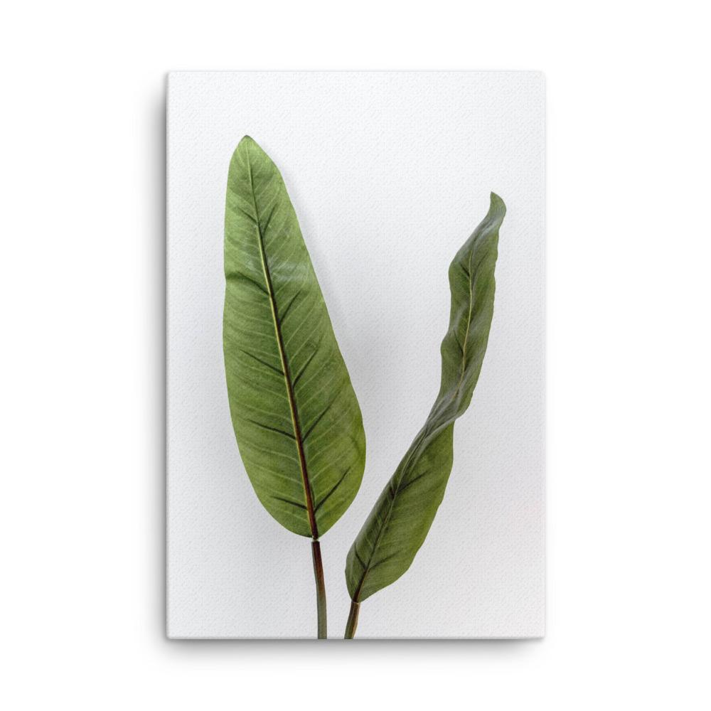 Tropical Leaves - Leinwand Kuratoren von artlia 61x91 cm artlia