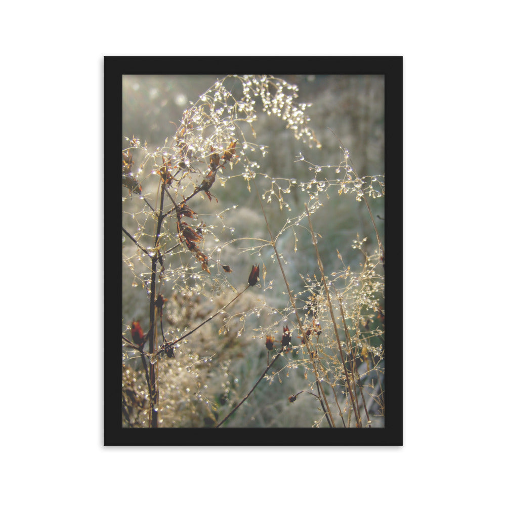 Winter Dews - Poster im Rahmen Kuratoren von artlia Schwarz / 30×40 cm artlia