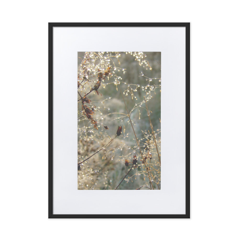 Winter Dews - Poster im Rahmen mit Passepartout Kuratoren von artlia Schwarz / 50×70 cm artlia